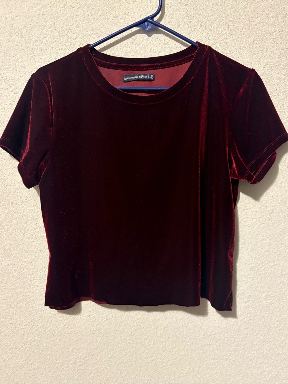 Abercrombie & Fitch Women's Deep Burgundy Velvet Short Sleeve Tee